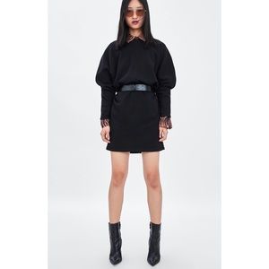 Zara Belted Dress